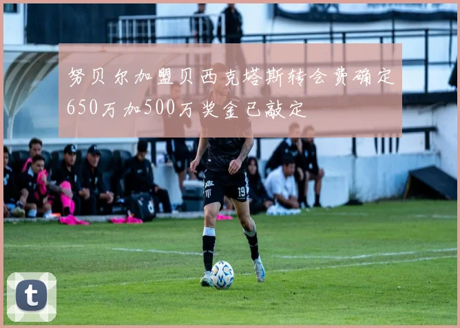 努贝尔加盟贝西克塔斯转会费确定650万加500万奖金已敲定